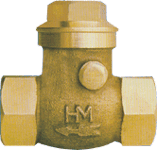 HM Gun Metal Swing Check Valve Screwed