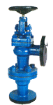 NETA cast Iron Accessible Feed C/V Flanged 