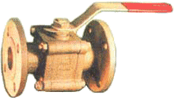 SHENCO I.C. S.S. B/V flanged 3 Pc. design