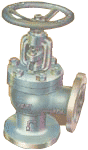 Neta C.I. Angle Globe Valve