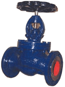 C. S. Globe Valve Flanged ND 40