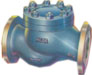 NETA Cast Iron C/V Flanged ND 16 IBR